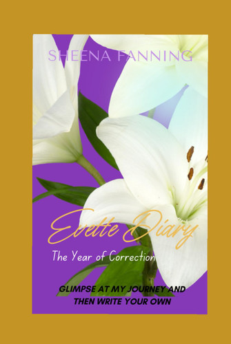 Evette Diary: The Year of Correction