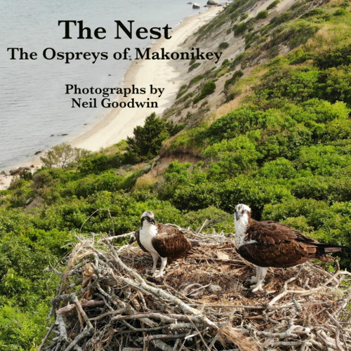 THE NEST: The Ospreys of Makonikey Martha's Vineyard