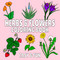 Herbs & Flowers Coloring Book: Easy & Fun Designs for Adults and Kids