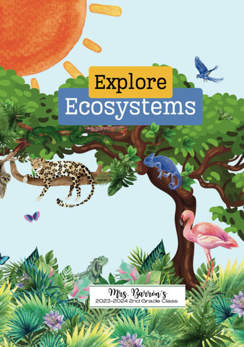 Explore Ecosystems: A Second Grade Science Project