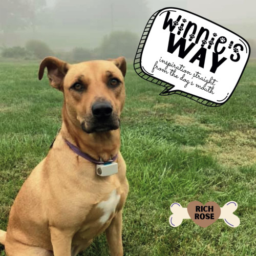 Winnie's Way: inspiration straight from the dog's mouth