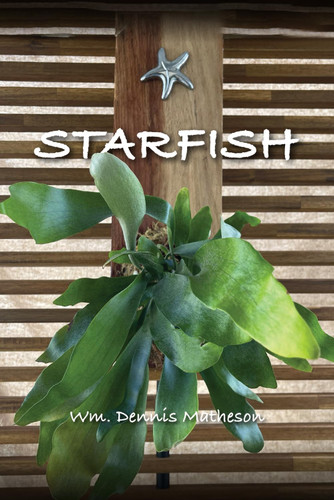 Starfish