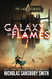 The Last Steward (Galaxy In Flames)