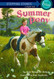 Summer Pony (A Stepping Stone Book(TM)