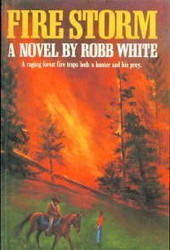 Fire Storm: A Novel