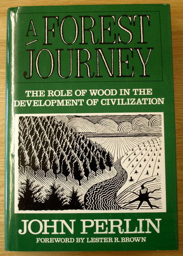 A Forest Journey