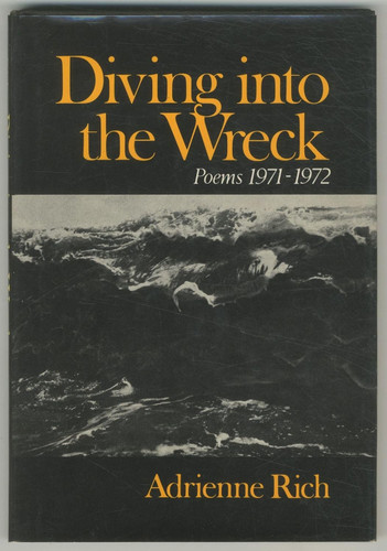 Rich Diving into the Wreck (Cloth)