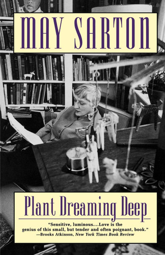 Plant Dreaming Deep