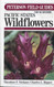 A Field Guide to Pacific States Wildflowers