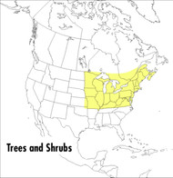 A Peterson Field Guide To Trees And Shrubs
