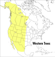 A Peterson Field Guide To Western Trees: Western United States and
