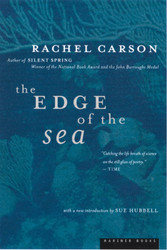 The Edge Of The Sea