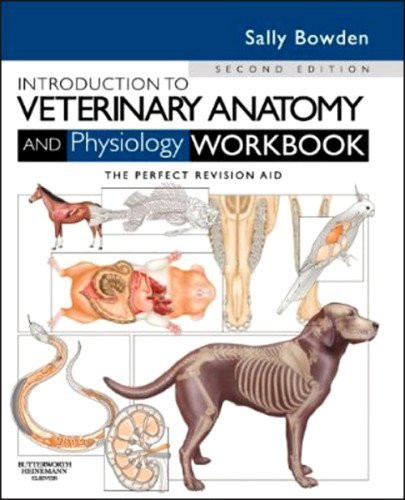 Introduction To Veterinary Anatomy And Physiology Workbook