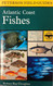 Atlantic Coast Fishes of North America (Peterson Field Guide)