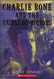 Charlie Bone and the Castle of Mirrors