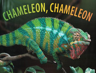 Chameleon Chameleon