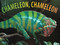 Chameleon Chameleon
