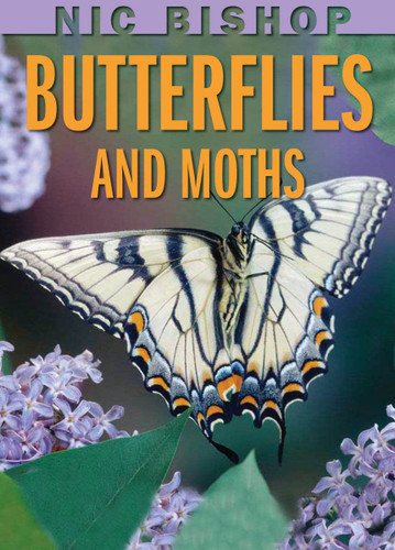 Nic Bishop: Butterflies and Moths