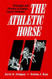 Athletic Horse