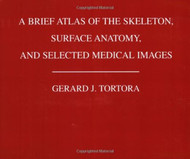 A Brief Atlas of the Skeleton Surface Anatomy and Selected Medical