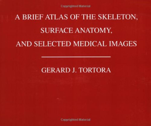 A Brief Atlas of the Skeleton Surface Anatomy and Selected Medical
