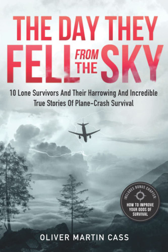 The Day They Fell From The Sky