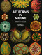 Art Forms in Nature