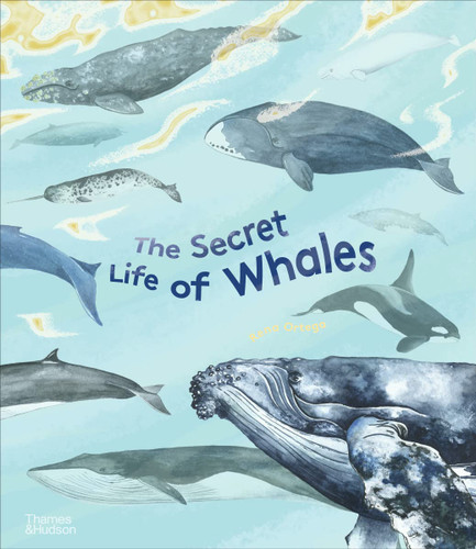 The Secret Life of Whales (The Secret Life of Series)