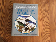 Original Water Color Paintings By John James Audubon For Birds Of