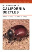 Introduction to California Beetles