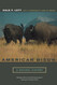 American Bison