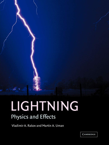 Lightning: Physics and Effects