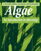 Algae: An Introduction to Phycology