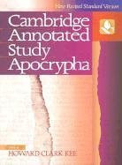 The NRSV Cambridge Annotated Study Apocrypha