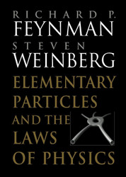 Elementary Particles and the Laws of Physics