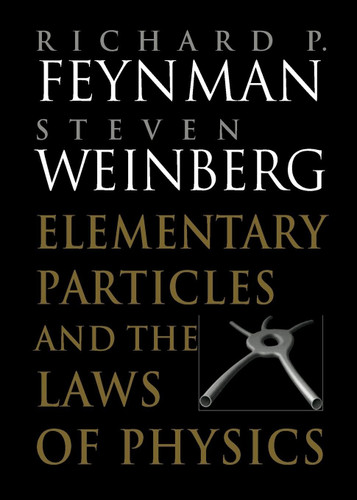 Elementary Particles and the Laws of Physics