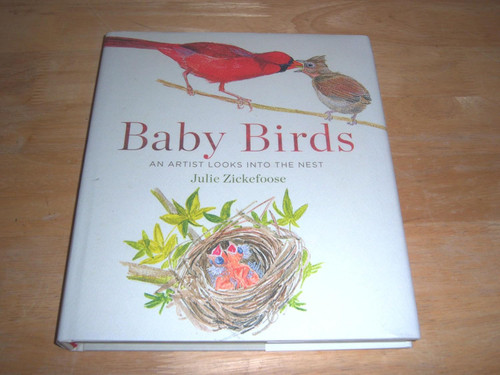 Baby Birds: An Artist Looks into the Nest