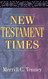 New Testament Times