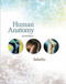 Human Anatomy