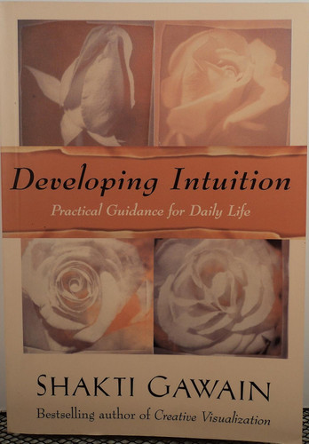 Developing Intuition: Practical Guidance for Daily Life