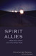 Spirit Allies: Meet Your Team from the Other Side