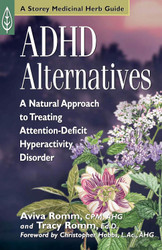 ADHD Alternatives: A Natural Approach to Treating Attention Deficit