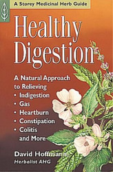 Healthy Digestion: A Natural Approach to Relieving Indigestion Gas