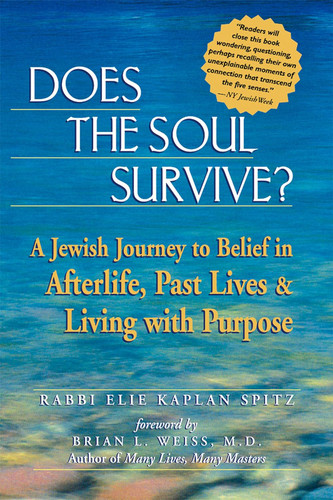 Does the Soul Survive?: A Jewish Journey to Belief in Afterlife Past