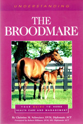 Understanding the Broodmare: Your Guide to Horse Health Care and