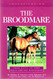 Understanding the Broodmare: Your Guide to Horse Health Care and