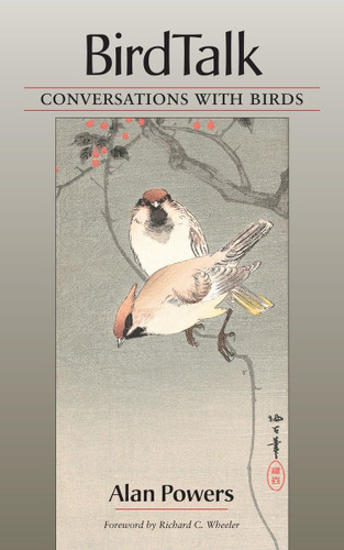 BirdTalk: Conversations with Birds