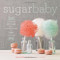 Sugar Baby: Confections Candies Cakes & Other Delicious Recipes for