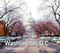 Washington D.C. Then and Now