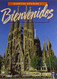 Bienvenidos: Glencoe Spanish 1